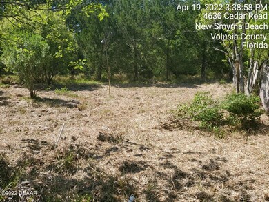 4630 Cedar Rd, New Smyrna Beach, FL 32168 - photo 7