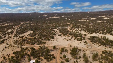 Dove Valley Rd, Pie Town, NM 87827 - photo 4