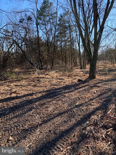 Lot #1 Old Plains Rd, Pennsburg, PA 18073 - photo 6