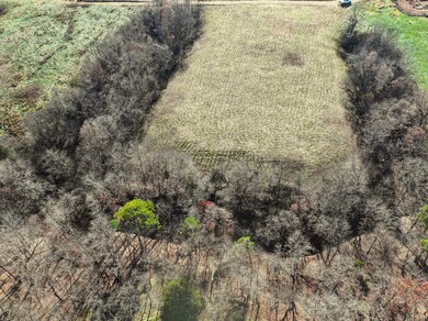 3.28 Lookout Ridge Ct, Noel, MO 64854 - photo 4