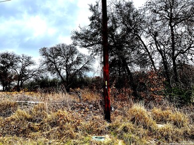 1223 Dupont, San Antonio, TX 78264 - photo 7