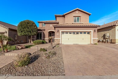 02 Desert Elm 10746