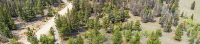 Parcel 31663 Redhill Rd, Fairplay, CO 80440 - photo 4