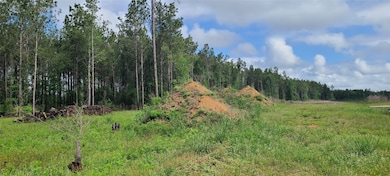 8056 Road 5895, Cleveland, TX 77327 - photo 2