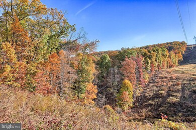 142 Carbine Ln, Hedgesville, WV 25427 - photo 5