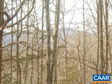 TBD Duncan Hollow Loop, Faber, VA 22938 - photo 3