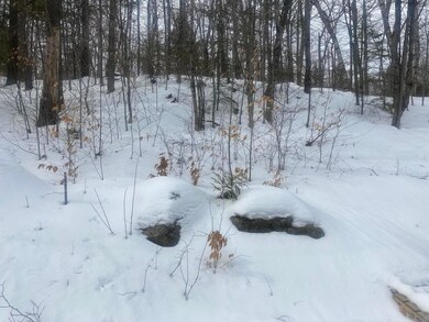 16 Malcolm Rd S, Bridgton, ME 04009 - photo 3