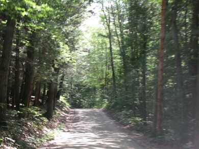 L06 County Rd, Dunbarton, NH 03046 - photo 3