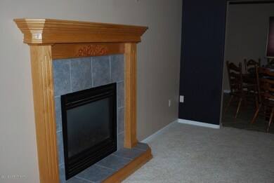Living Room Fireplace