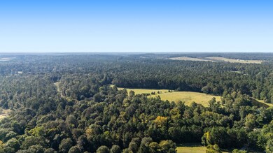 TBD Old Israel Rd, Livingston, TX 77351 - photo 4