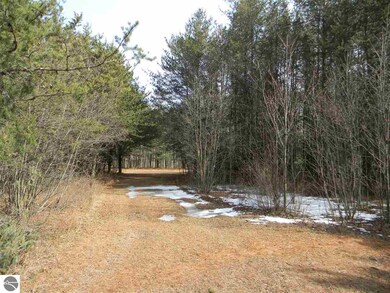 N/A Denstedt Rd, Hale, MI 48739 - photo 3