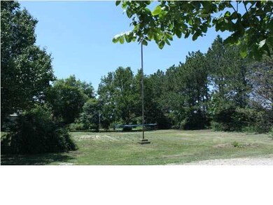 LOTS OF MATURE TREES IN THIS YARD