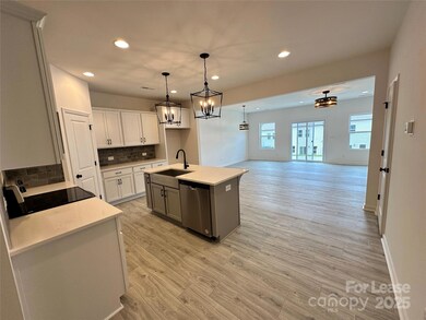 11026 Pagebrook Ln, Charlotte, NC 28214 - photo 5