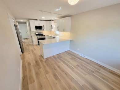 6308 W Cornelia Ave, Chicago, IL 60634 - photo 4