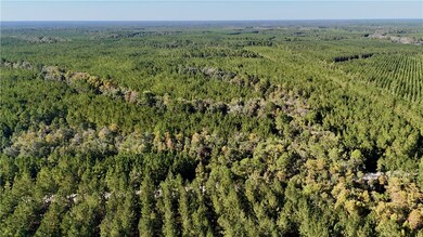 0 Antioch Cemetery Rd, Folkston, GA 31537 - photo 4