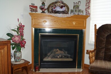 Gas fireplace