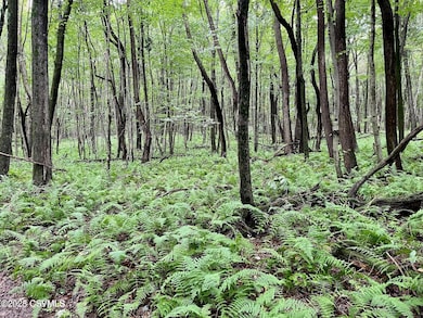 20230814235524072987000000-o-1