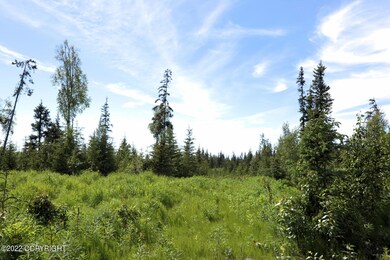 D19 Alaskan Wildwood Ranch, Anchor Point, AK 99556 - photo 2