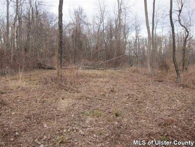 TBD Langridge Rd, Clermont, NY 12583 - photo 2