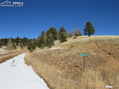 991 Twin Lakes Dr, Divide, CO 80814 - photo 6