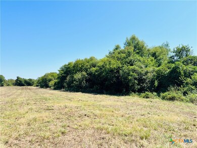 7881 Pecan Rd, Troy, TX 76579 - photo 5