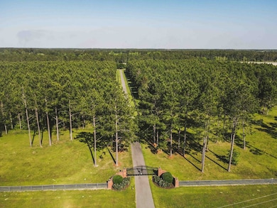 6200 Dillon Rd, Thomasville, GA 31757 - photo 4