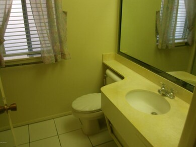 10133 W Ironwood Dr, Sun City, AZ 85351 - photo 6