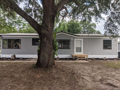 Front yard with tree