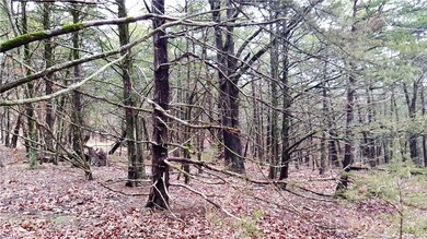 0 Willoughby Lot D Rd unit 1011784, Fayetteville, AR 72701 - photo 7