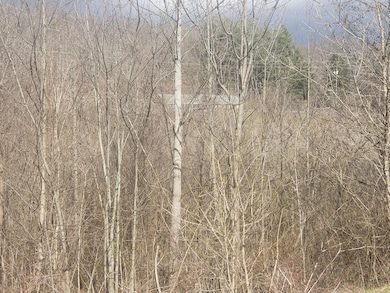 TBD Meadow View Rd, Bristol, TN 37620 - photo 3