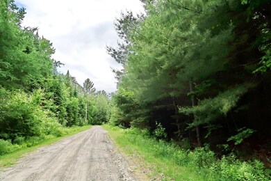 0 Otter Pond Rd, Bethlehem, NH 03574 - photo 5