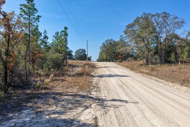 0 NE 127th Ct unit 796113, Williston, FL 32696 - photo 2