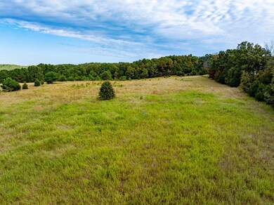 0 Peter Martin Hill Rd unit 24758361, Cave City, AR 72521 - photo 7