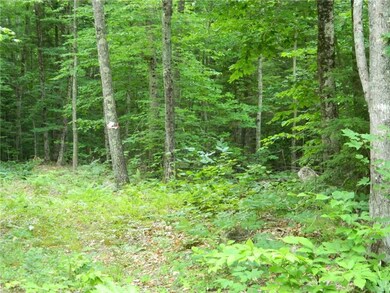 0 Moffet Ln unit 1271535, Cornish, ME 04020 - photo 5