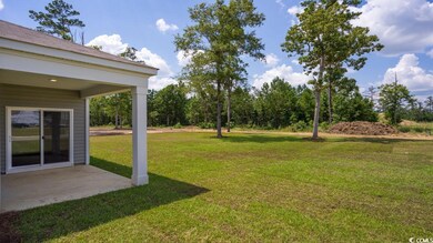 216 Harvest Ridge Way unit Lot 312- Aria B, Bucksport, SC 29527 - photo 5