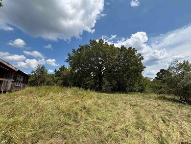 000 County Road 1902, Jacksonville, TX 75766 - photo 7