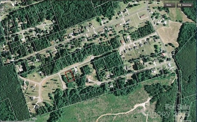 Lot 38 Briaridge Ln unit 38, Wadesboro, NC 28170 - photo 4