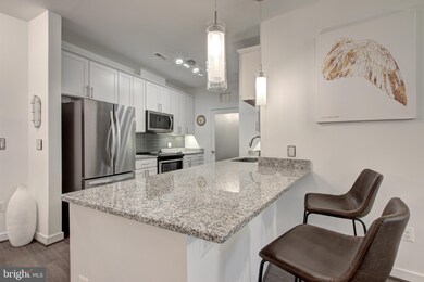 Enclave unit 206, Fairfax, VA 22031 - photo 3