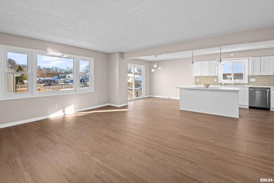 5302 16th Ave, Moline, IL 61265 - photo 4