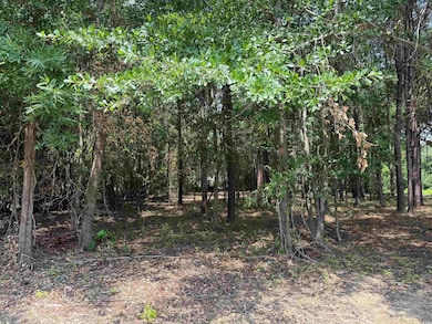 2 Lots - TBD S Rosemary Ave, Andrews, SC 29510 - photo 2