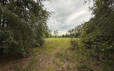 TBD 211th Ct, Live Oak, FL 32060 - photo 3