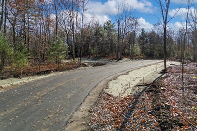 Lot 1 Kennebunk Rd, Lyman, ME 04002 - photo 4