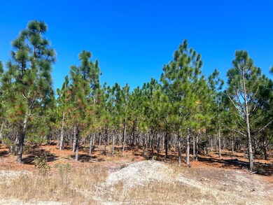 5710 Lake Robinson Rd, Hartsville, SC 29550 - photo 7