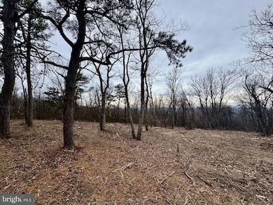 LOT 153 Bobcat Trail, Winchester, VA 22602 - photo 4