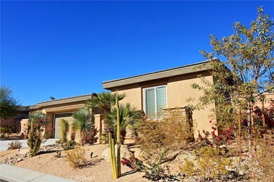 Drought Tolerant Desert Landscape w/ Lighting