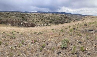 4751 Desert Rd, Whitewater, CO 81527 - photo 2