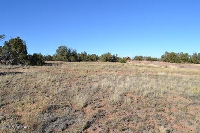 3858 Hidden Ranch Rd (5)