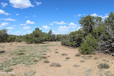 10 3044, Concho, AZ 85924 - photo 7