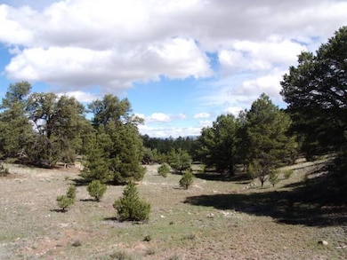 Lot 43 Morningstar Dr, Datil, NM 87821 - photo 3