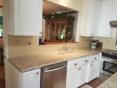 Kitchen Sink Counter